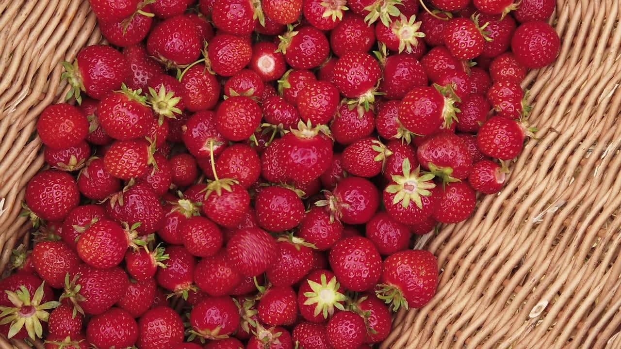 Fresh picked strawberries dropped into basket, high angle, slow motion