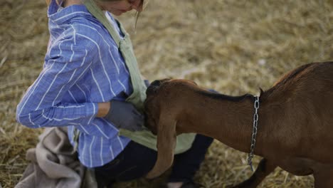 Happy-woman-sit-squatting-and-feed-from-hands-cute-goat-on-local-farm