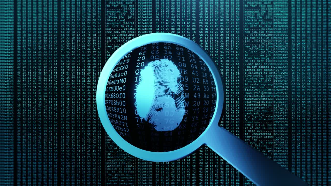 Fingerprint Magnified on Code Background