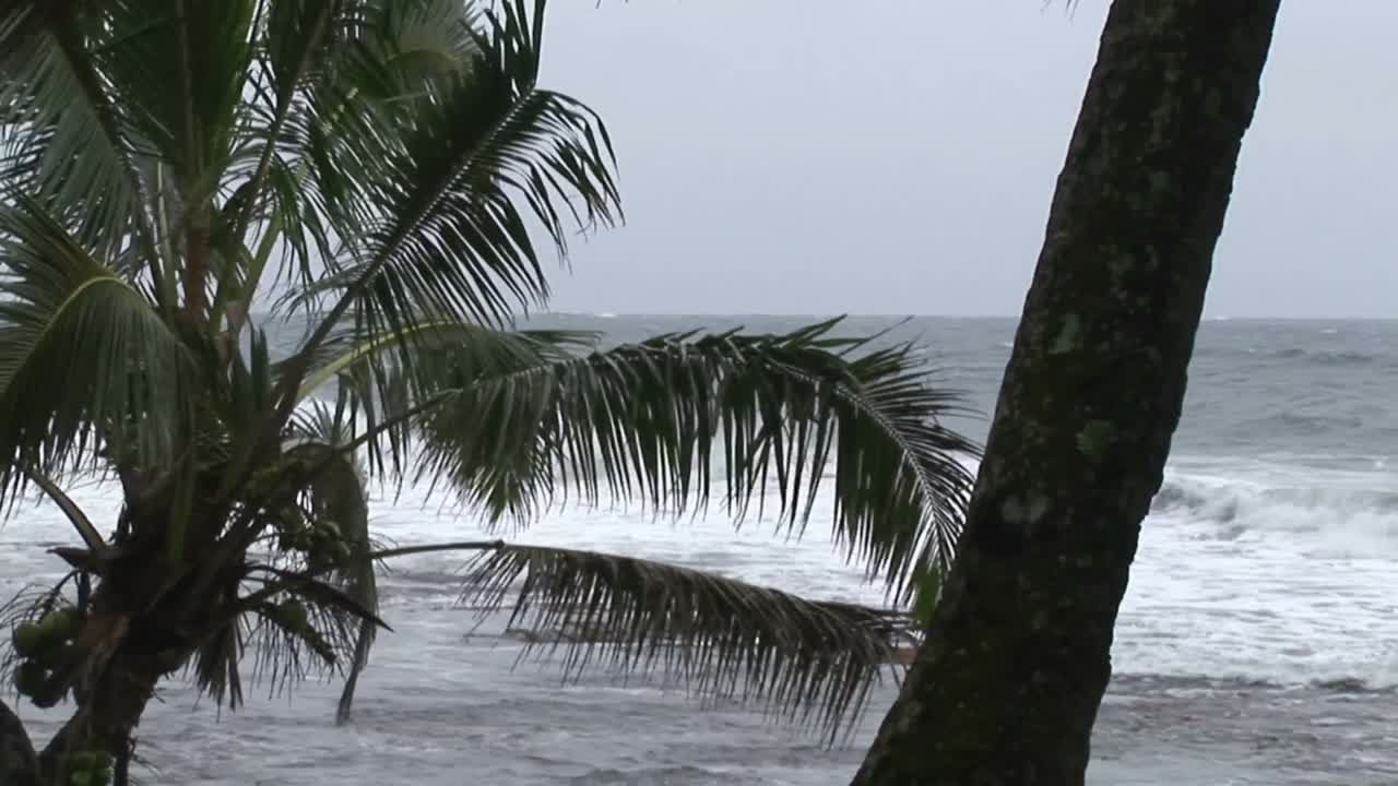 스 ⁇  영상 허리케인