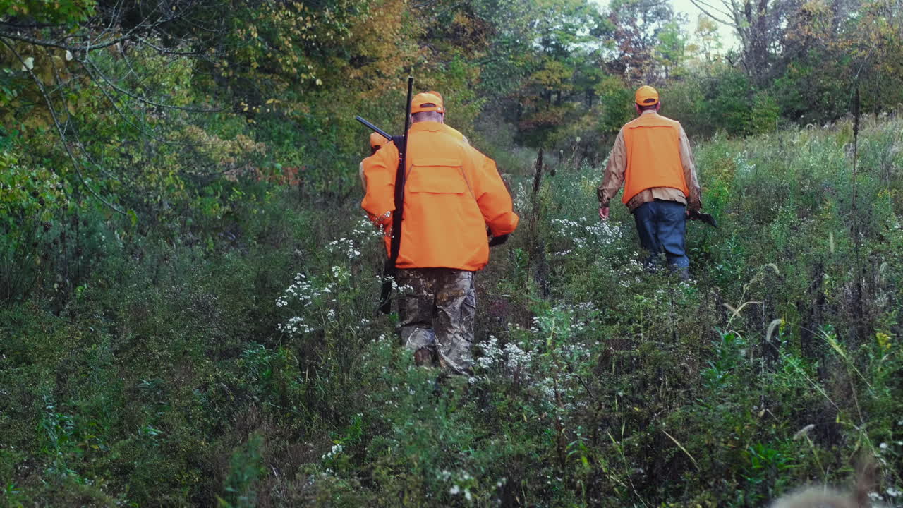 Three men in blaze orange carrying shotguns walk through the bush with their hunting dogs