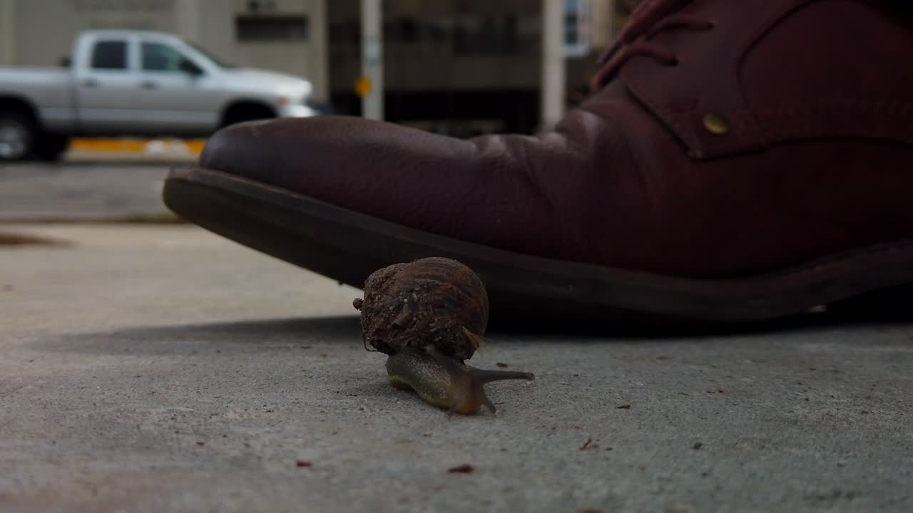거의 찌그러질 뻔한 도시 한가운데 보도의 달팽이