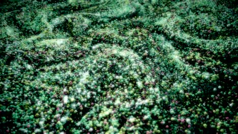 esferas abstractas girando como la pintura.