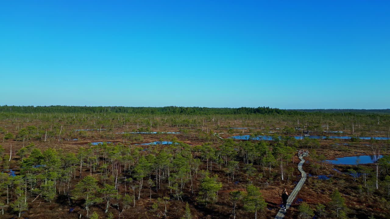 Taman Nasional Kemeri Latvia, cagar alam hijau, zona rekreasi.