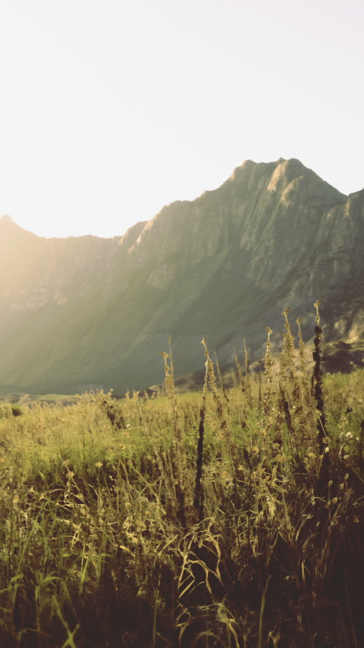 Majestic mountain landscape at sunset with golden grass field in view