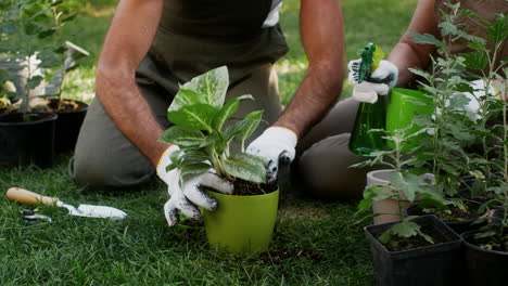 pareja de jardinería juntos