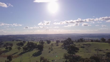 Aerial flight over forest in Australia with sun and clouds in the background, distance shot moving forward