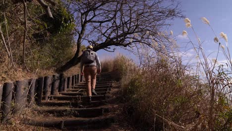 excursionista solitario masculino subiendo escalones de madera en un sendero para caminar en pastizales altos