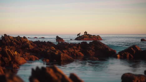 Puesta-De-Sol-Con-Dos-Grandes-Pájaros-Cormoranes-En-La-Piedra