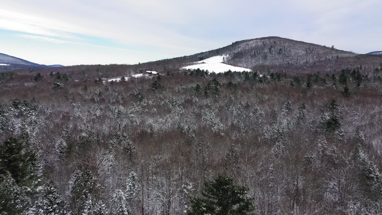 imágenes aéreas que vuelan a baja altura sobre un bosque cubierto de nieve hacia los campos y una colina
