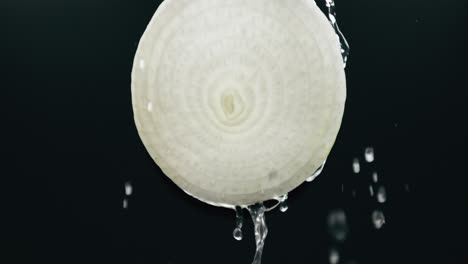 water flowing down fresh onion slice with liquid drip in slow motion backlit black background