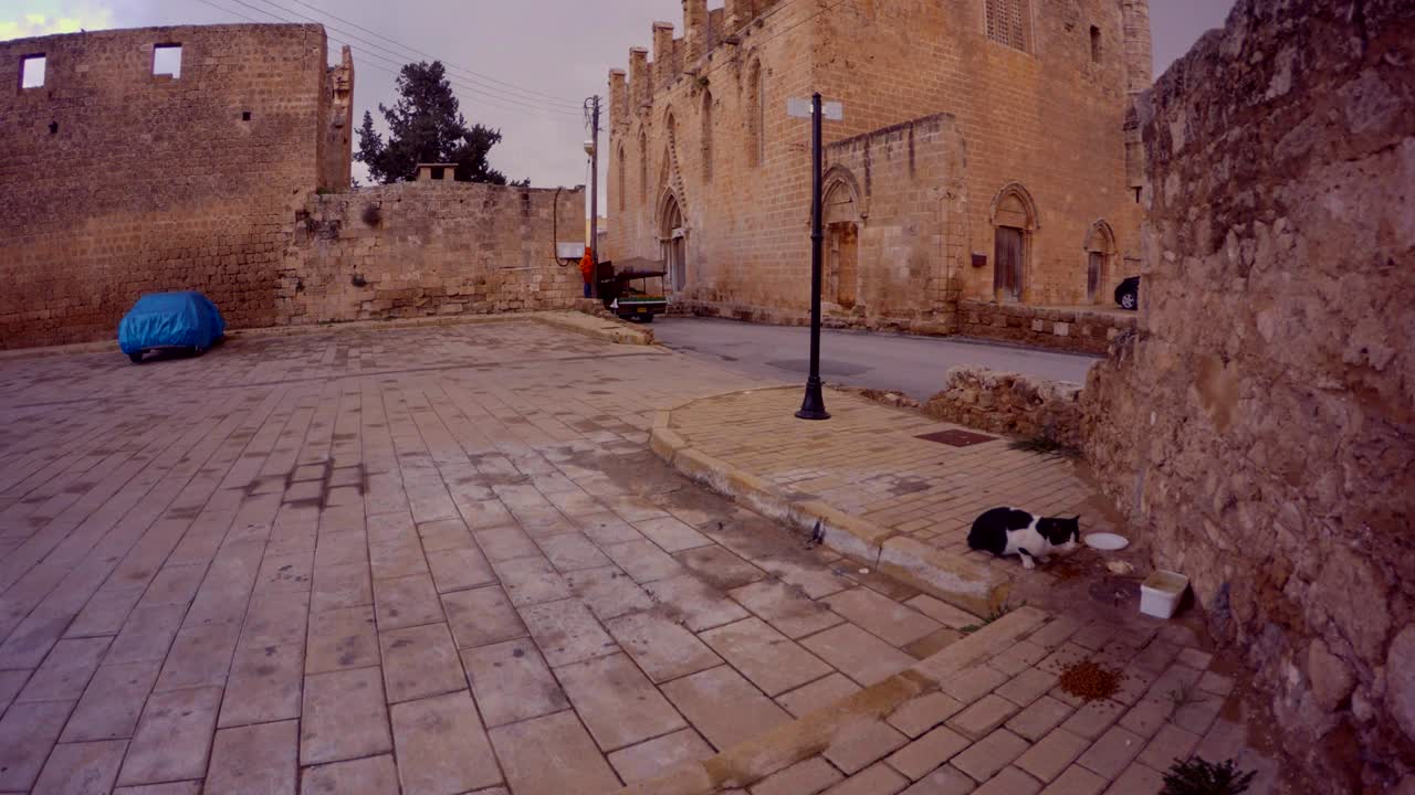 Edifici e chiese medievali costruiti con materiali antichi della città di Salamina, nel centro di Famagosta.