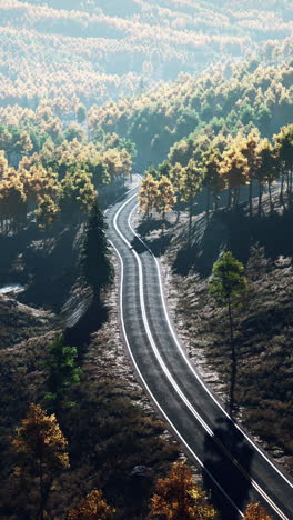 camino sinuoso a través del bosque de otoño