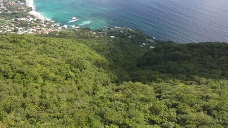 Aerial-shot-discover-beautiful-beach,-fly-over-trees-in-martinique