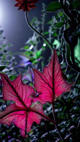 night garden plants