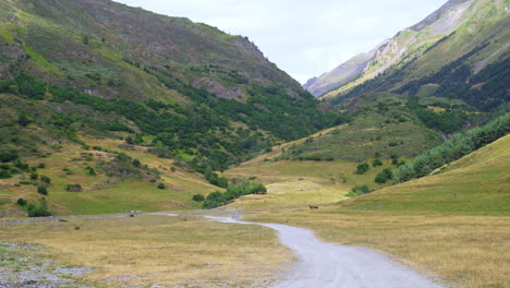 Peaceful-mountains-in-greenery-and-sunlight