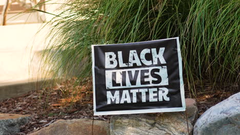 Black-Lives-Matter-Hofschild-Vor-Gartenbusch