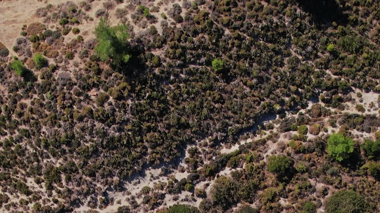Vista di alberi verdi e terra arida a Rodi, in Grecia, durante il giorno