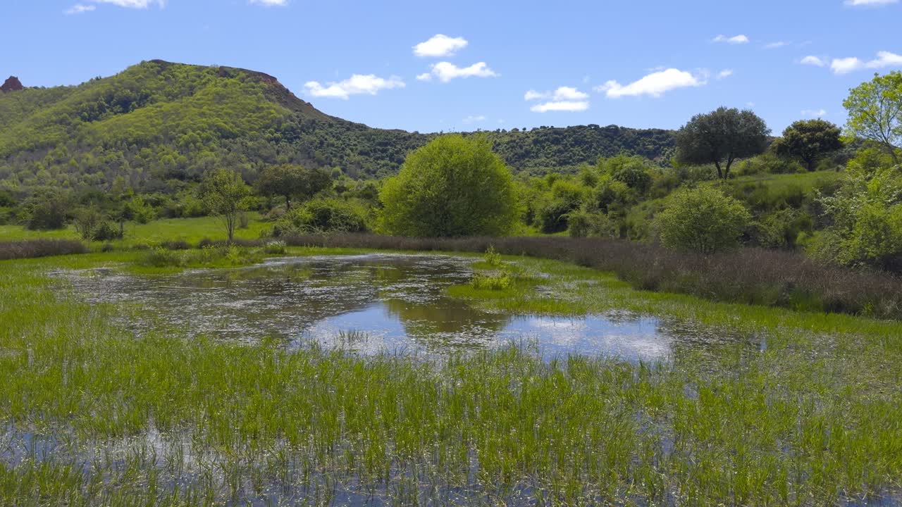 Natural Pond In The Mountains Surrounded By Green Vegetation And Trees