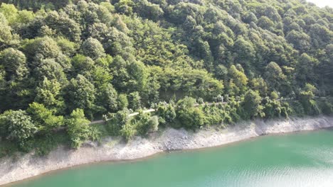 forest by lake drone view