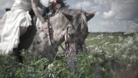 woman on horse in a field