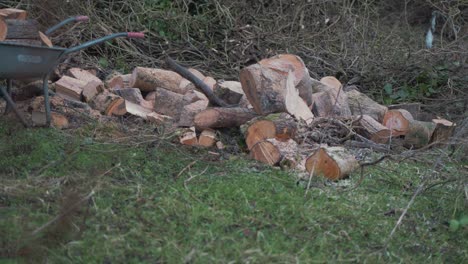 pile of logs and wheelbarrow rack focus 4k