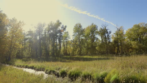 Stream-Running-Through-Montana-During-the-Fall-Season-4K