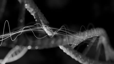 animación de la cadena de adn y el diagrama en fondo negro