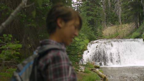 dog has fun playing in waterfall