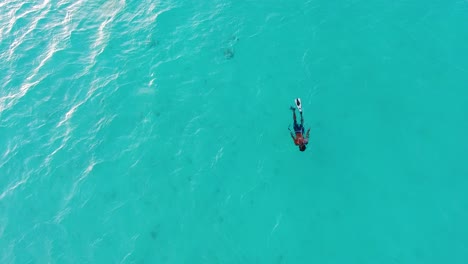 Bucear-En-El-Mar-Azul-Claro-De-Las-Maldivas