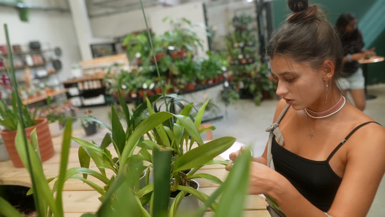 Woman examining plants in a plant shop