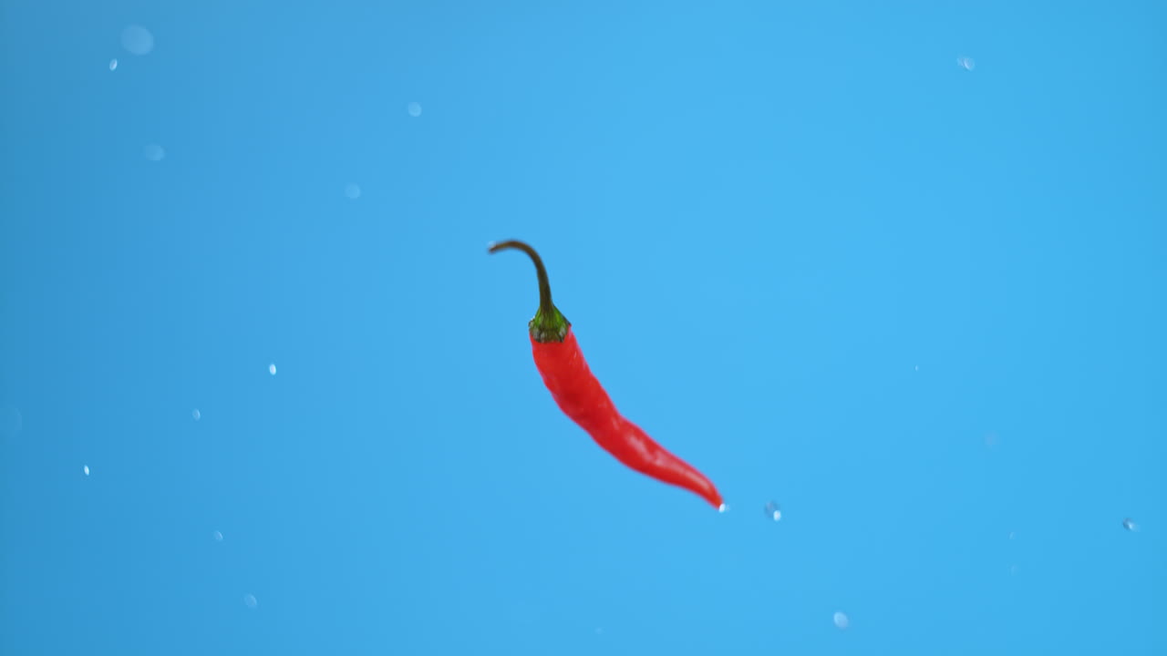 Red Chili Pepper and Water Droplets on Blue Background