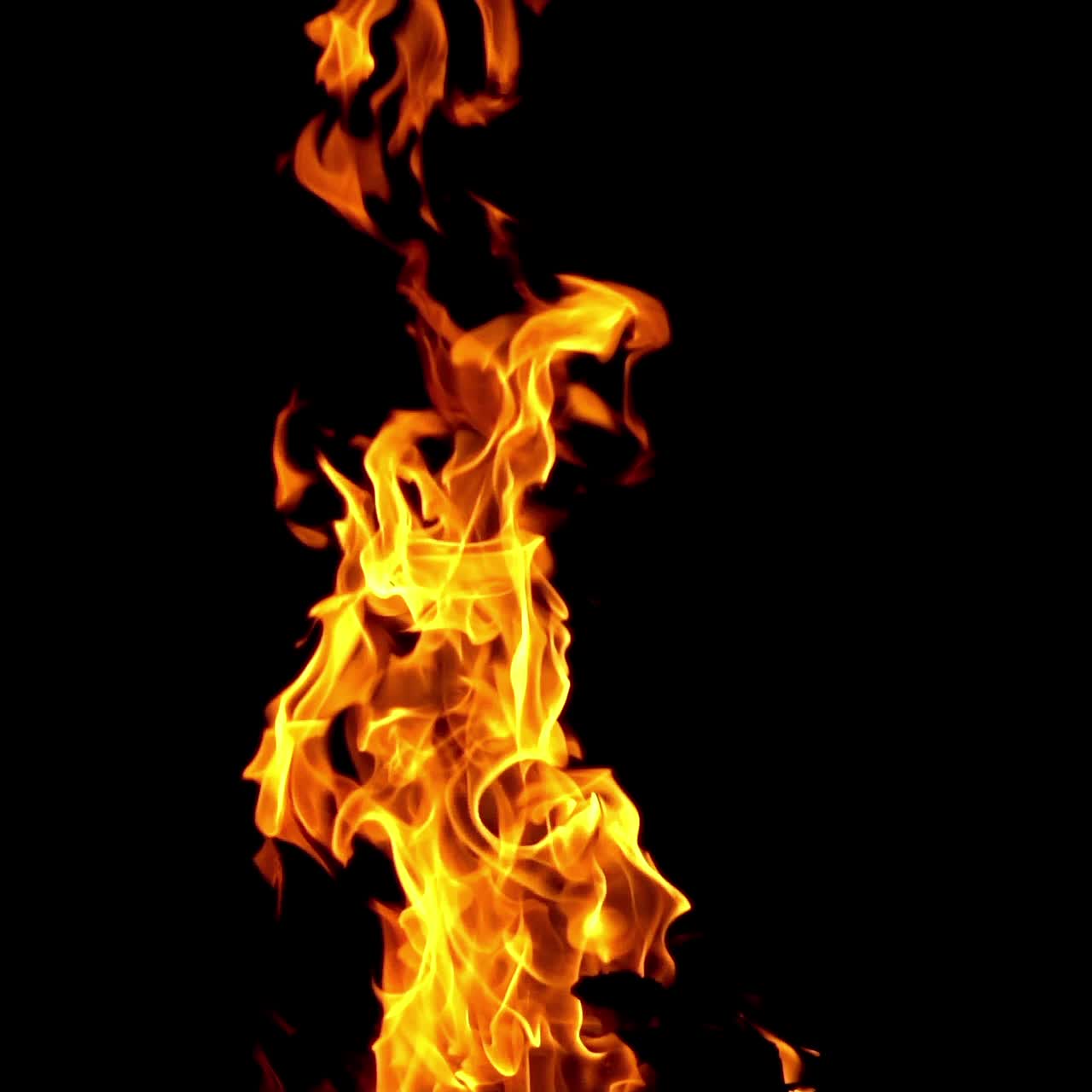 Burning fire. Bonfire. Closeup of flames burning on black background, slow motion