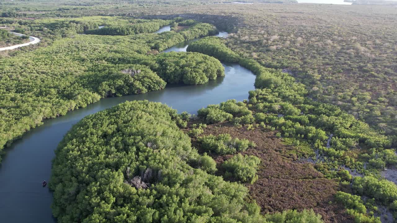 Fiume naturale di acqua dolce in ambiente verde, ripresa aerea in movimento in avanti, Haiti.