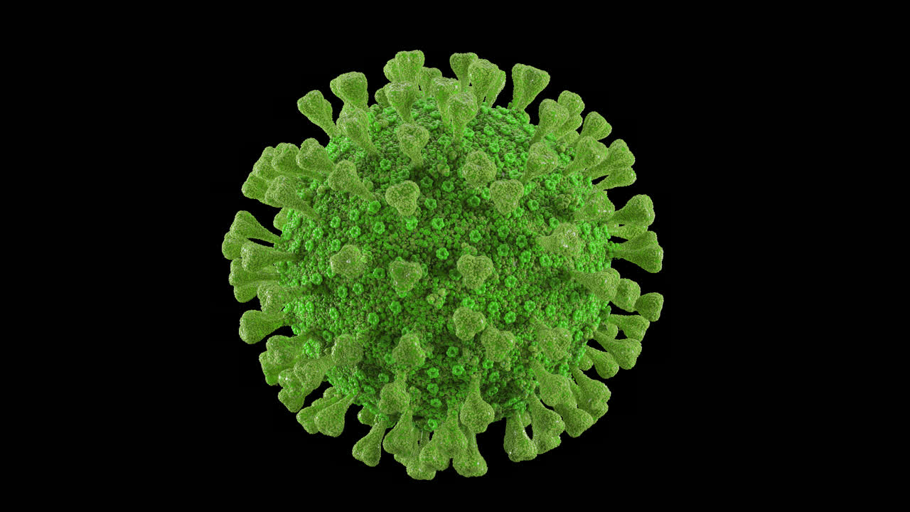 coronavirus verde giratorio con canal alfa