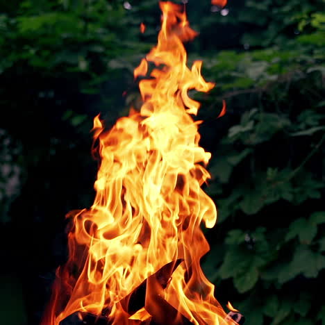 Big bonfire fire on nature background. Cozy evening in the forest outdoors. Burning wooden firewood, log, timber.