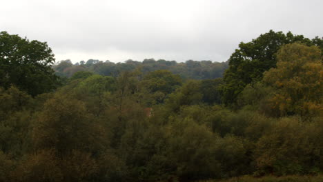 Extraweiter-Schwenk-Der-Baumkronen-Des-Neuen-Waldes-Von-Einem-Hohen-Aussichtspunkt-Im-Neuen-Wald