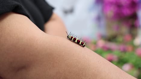 caterpillar crawls over arm against floral backdrop.