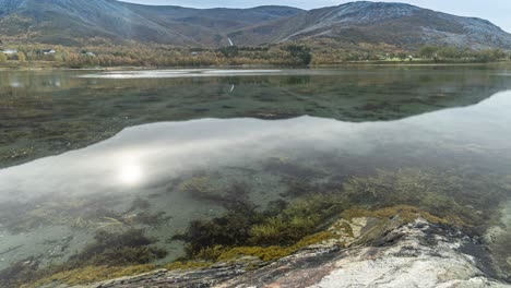la marea que retrocede expone el fondo arenoso del fiordo cubierto de algas