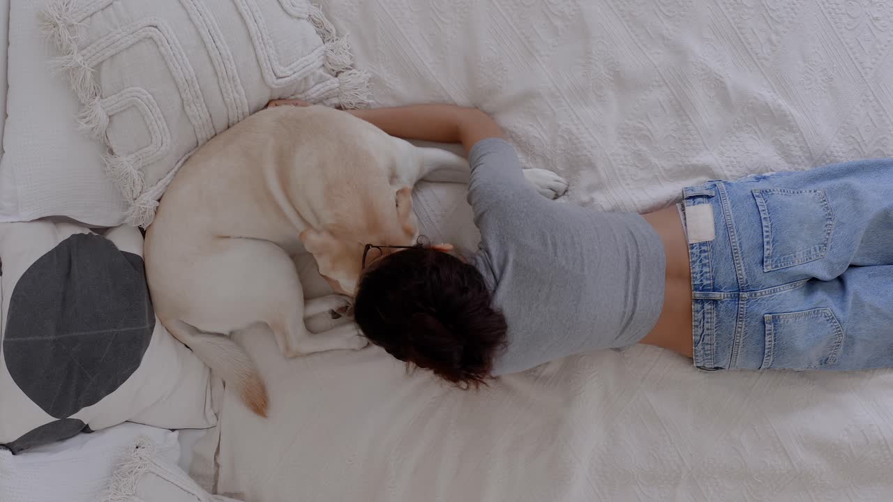 Labrador puppy cuddling with owner at home. Heartwarming moment showing human-animal bond, pet love, emotional connection, and the joy of having a dog. Cozy, peaceful, loving atmosphere.