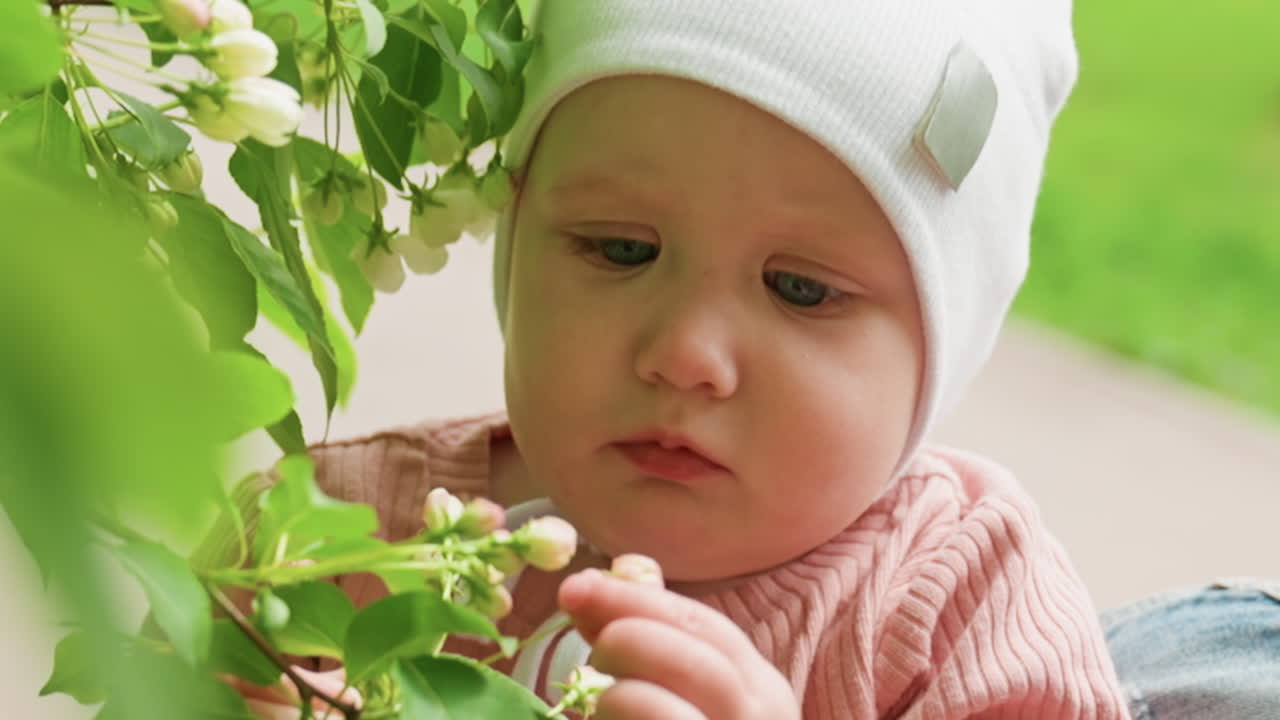 Young Child Studies Blooming Flower, Delicate Infant Closely Inspects Flowering Blossom With Focused Gaze, Caucasian Infant Attentively Examines Intricate Details Of Blooming Flower While Outdoors