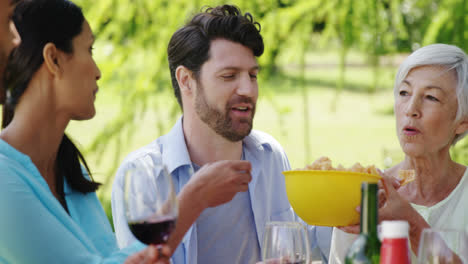 family interacting with each other while having meal in the park