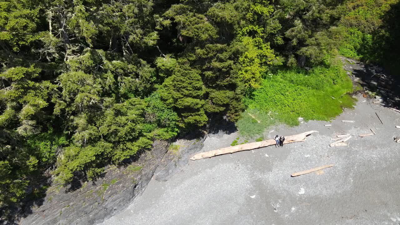 vuelo de drones que giran lentamente sobre dos personas apoyadas en un tronco de madera a la deriva en botany bay, isla de vancouver