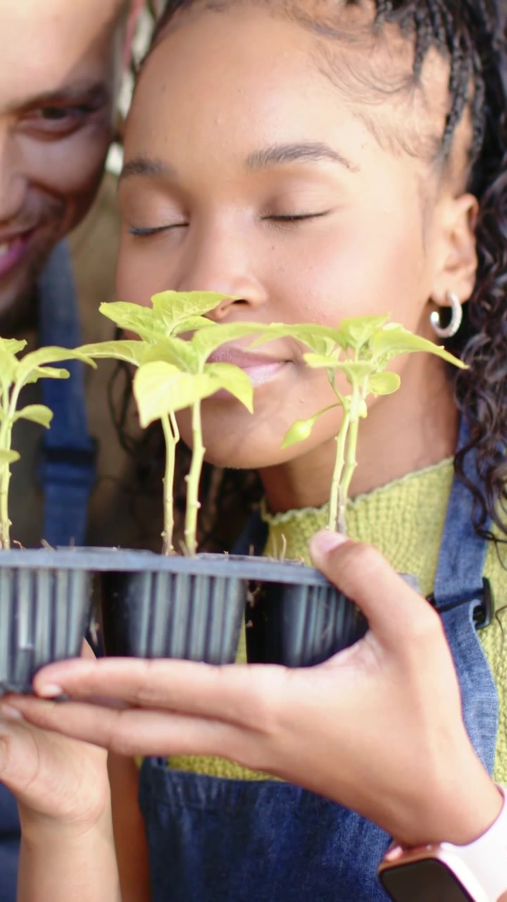Vidéo verticale: Tenant un plateau, une femme en tablier à la maison déplace le plateau tandis qu'un homme se penche, vérifiant les plantes