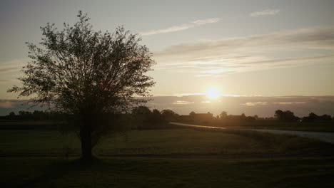 Plataforma-Rodante-Lenta-De-Un-árbol-Solitario-Durante-El-Amanecer-Junto-A-Una-Carretera-Vacía