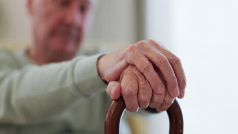 elderly man, hands and walking stick