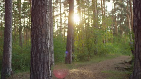 szczęśliwa sportowa kobieta biegnie w lesie