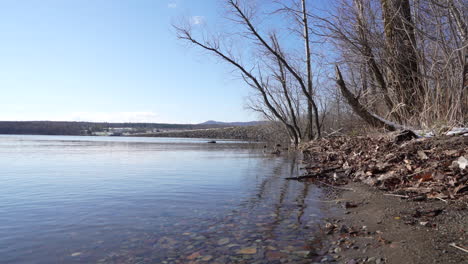 Tiro-Pan-En-El-Parque-Nacional-De-Yamaska