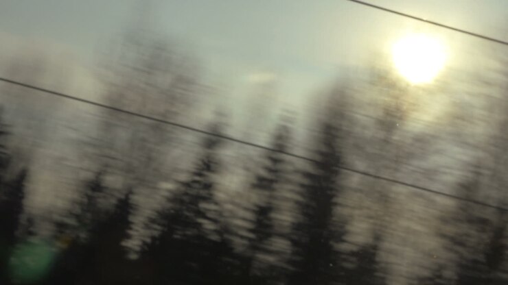 Nature scene with sun and trees view from the train