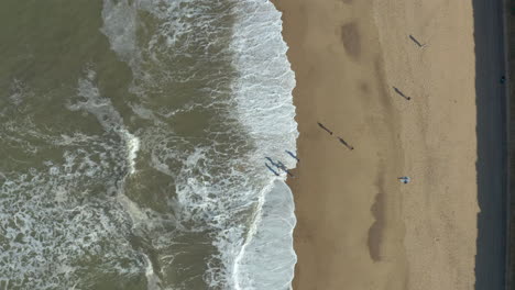 aerial shot of people with elongated shadows having a great day at the beach